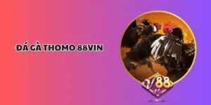 Đá Gà Thomo 88Vin