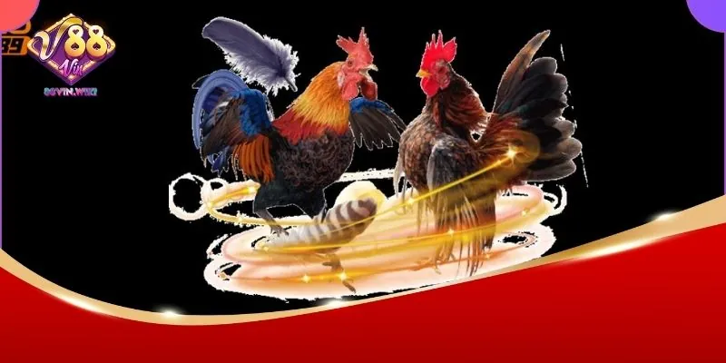 Cập nhật lịch thi đấu gà 88Vin